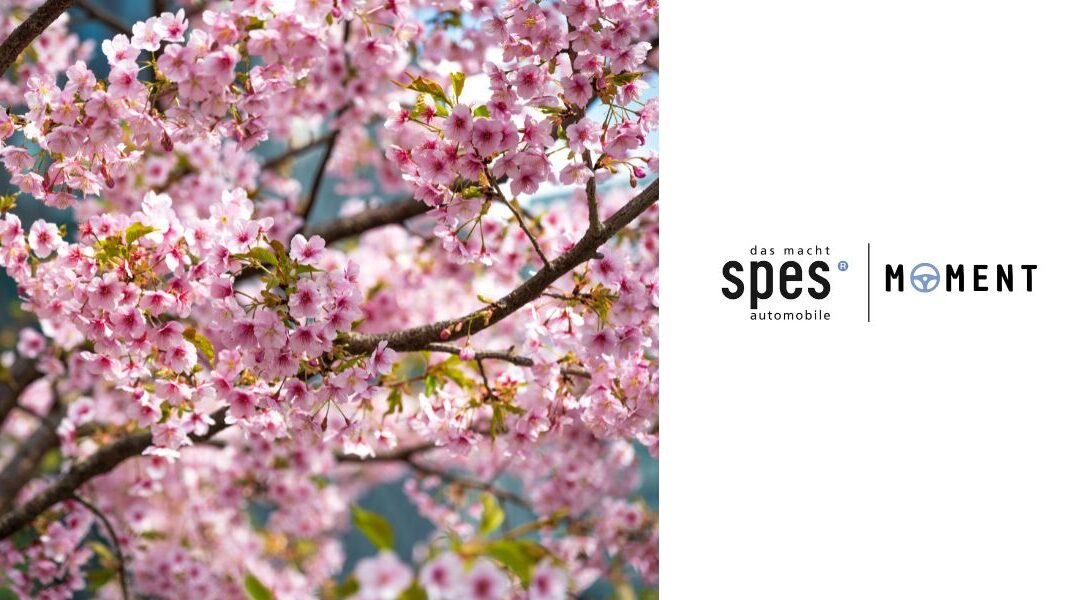 Wenn der Frühling Fahrt aufnimmt 🌸🚗