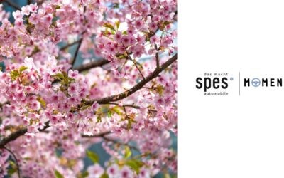 Wenn der Frühling Fahrt aufnimmt 🌸🚗